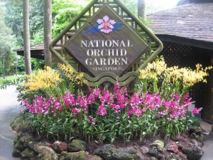 orchidgarden